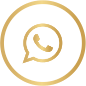 whatsapp-academia-4
